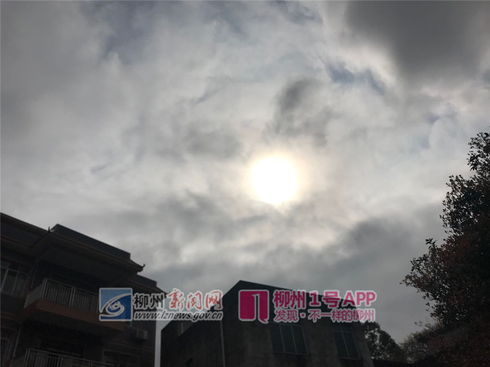微信图片_20190308161607.jpg 微信图片_20190308161607.jpg
