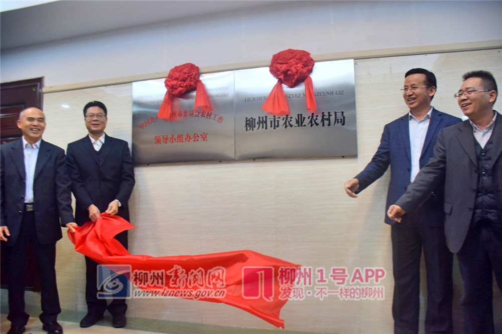 微信图片_20190308161736.jpg 微信图片_20190308161736.jpg