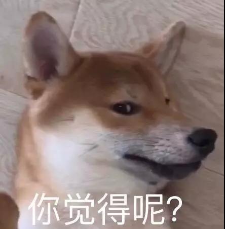 微信图片_20190311203145.jpg