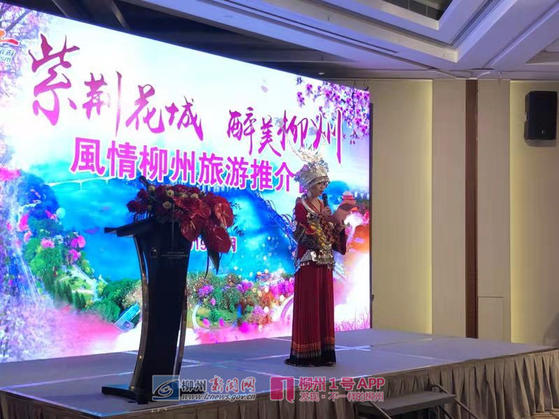 紫荆花海倒计时！风情柳州向香港市民发出粉红色邀请