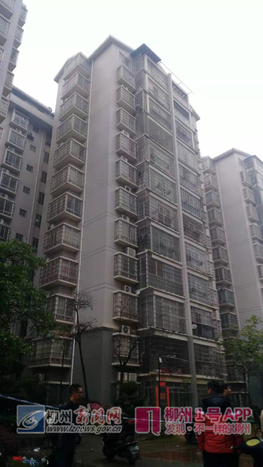 微信图片_20190317172527_副本.jpg