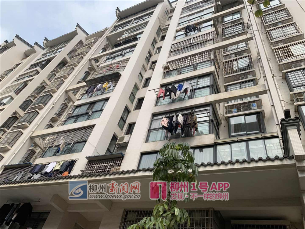 微信图片_20190320170658.jpg 微信图片_20190320170658.jpg