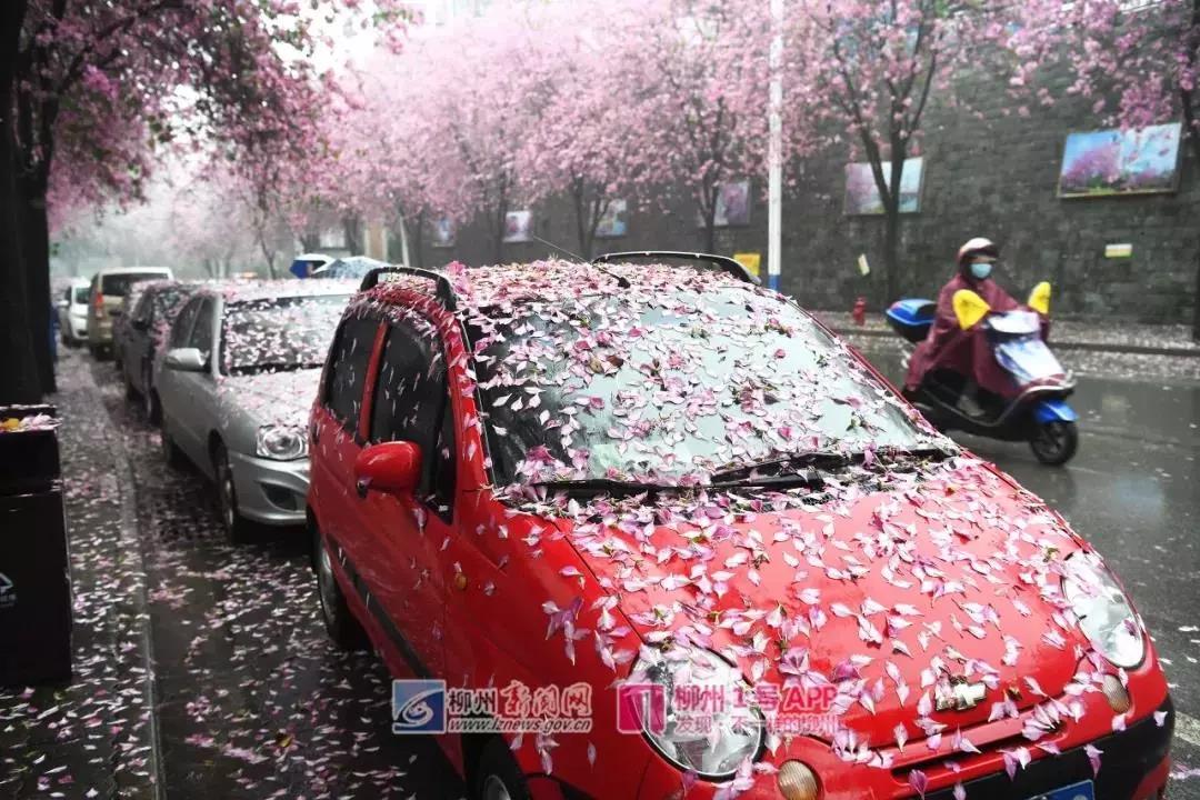 微信图片_20190322153050.jpg 微信图片_20190322153050.jpg