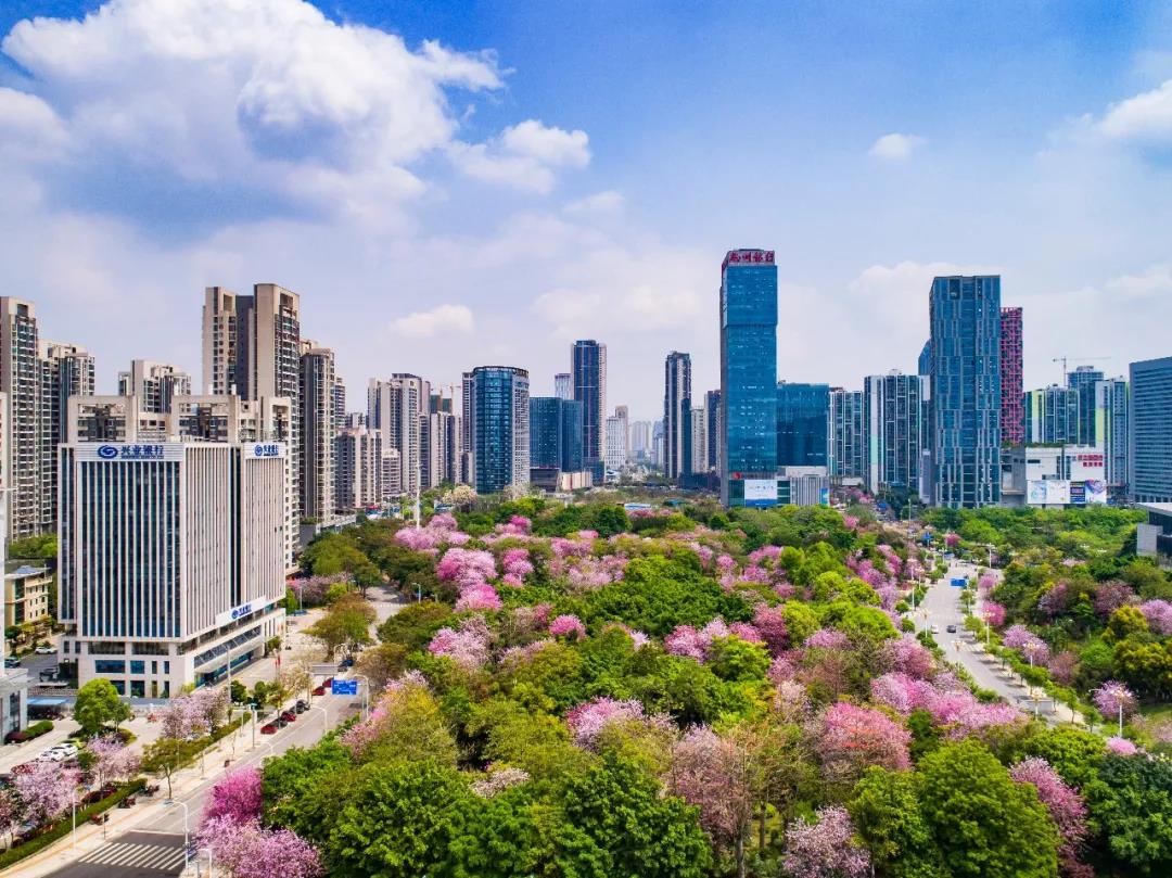微信图片_20190322153909.jpg 微信图片_20190322153909.jpg