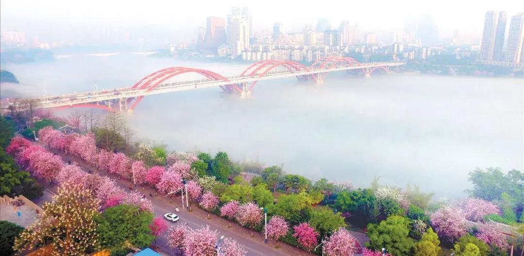 微信图片_20190322161157.jpg 微信图片_20190322161157.jpg