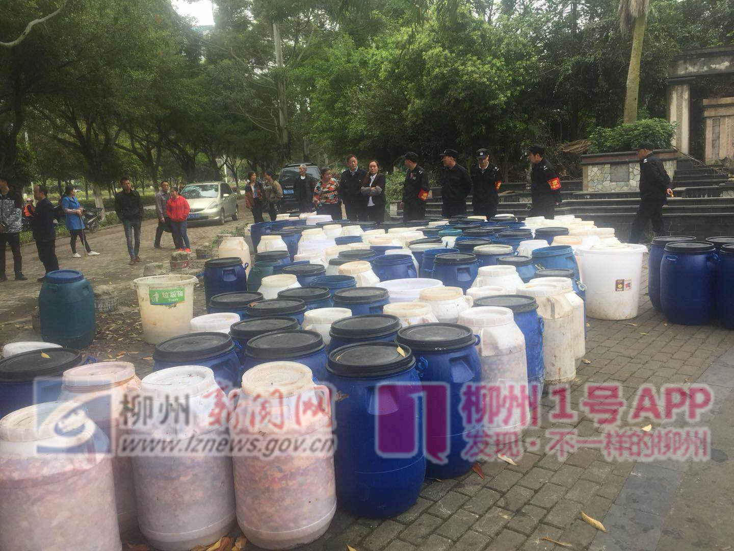 近两百个潲水桶！柳州这处小区门口臭气熏天，谁干的？