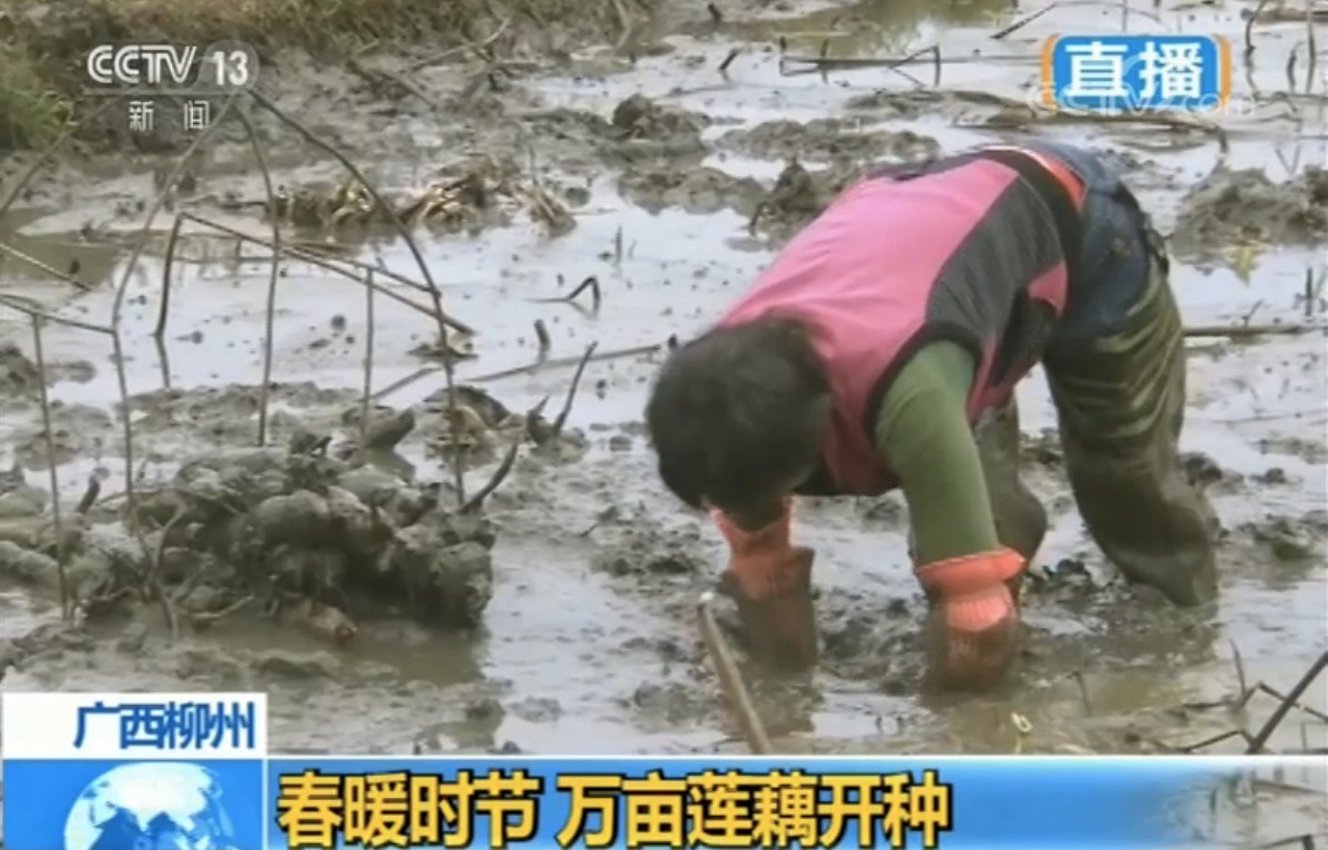 微信图片_20190323142419.jpg