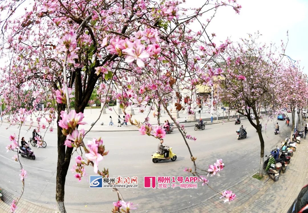 640 (1).webp (6)_副本.jpg