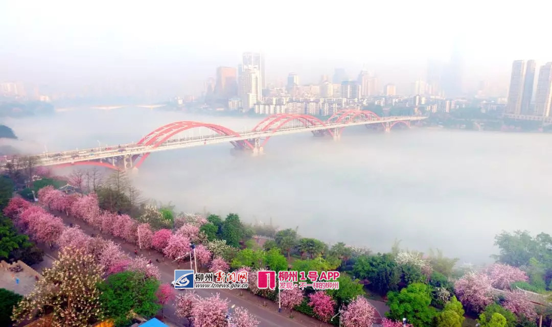 640 (1).webp (8)_副本.jpg