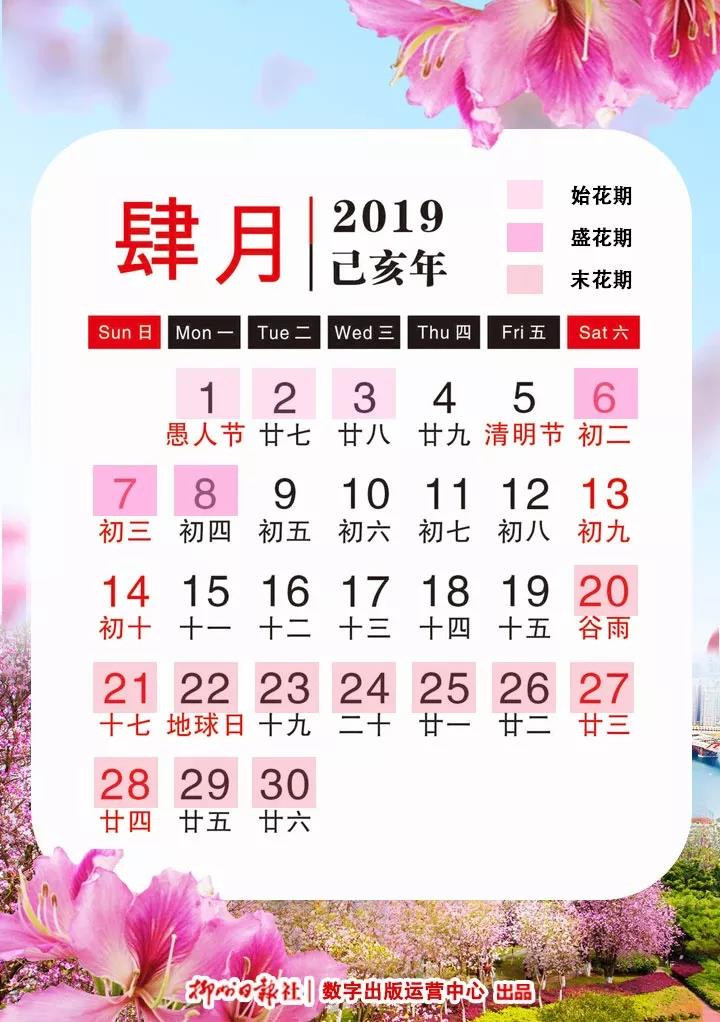 微信图片_20190326232802.jpg