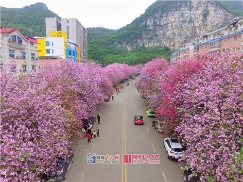 微信图片_20190326232812.jpg 微信图片_20190326232812.jpg