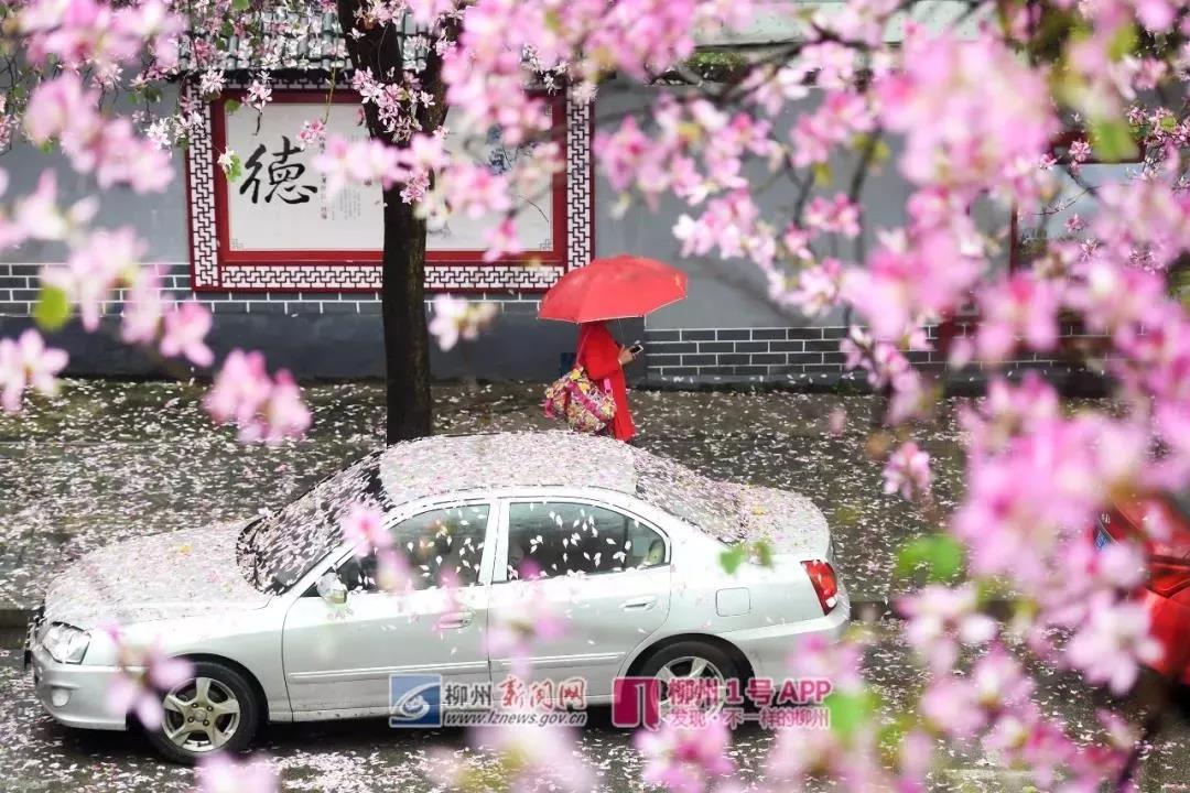 微信图片_20190326233559.jpg