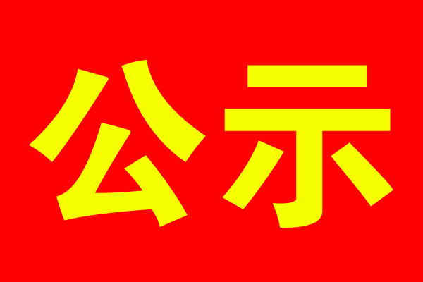 柳州市两新组织党组织“星级评定”考评对象公示
