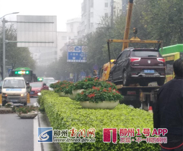 微信图片_20190327093956.jpg 微信图片_20190327093956.jpg