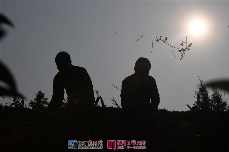 微信图片_20190327134543.jpg 微信图片_20190327134543.jpg