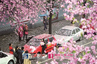 微信图片_20190328160552_副本.jpg 微信图片_20190328160552_副本.jpg