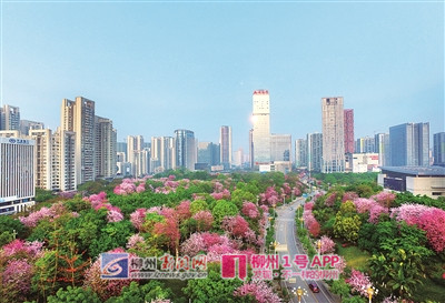 微信图片_20190328160557_副本.jpg 微信图片_20190328160557_副本.jpg