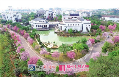 微信图片_20190328160559_副本.jpg 微信图片_20190328160559_副本.jpg