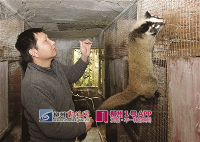 微信图片_20190328162325_副本.jpg 微信图片_20190328162325_副本.jpg