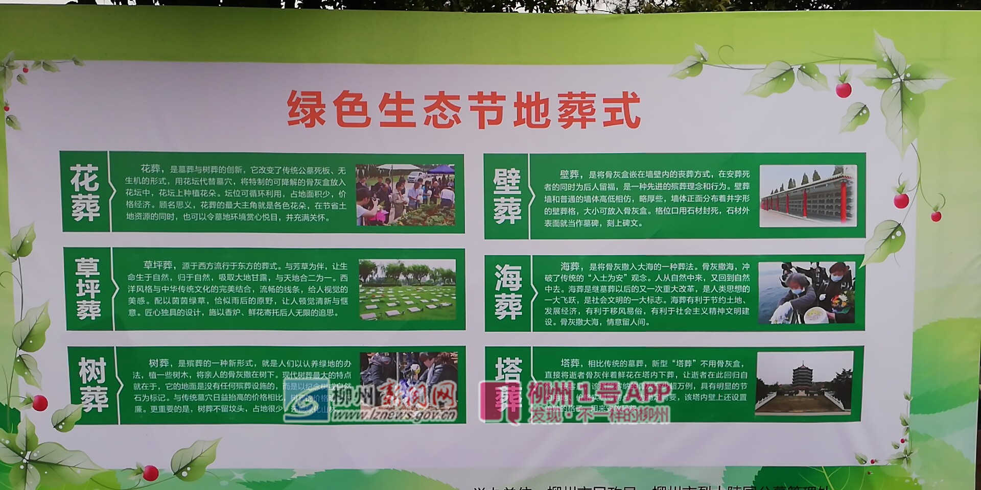 微信图片_20190329101232.jpg 微信图片_20190329101232.jpg