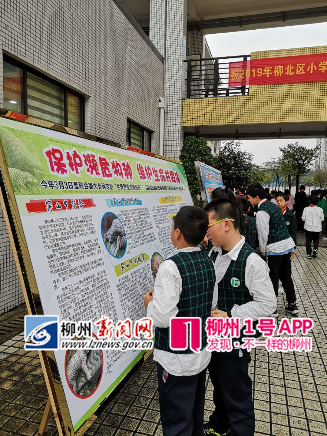 同学们在认真阅读宣传板报.jpg
