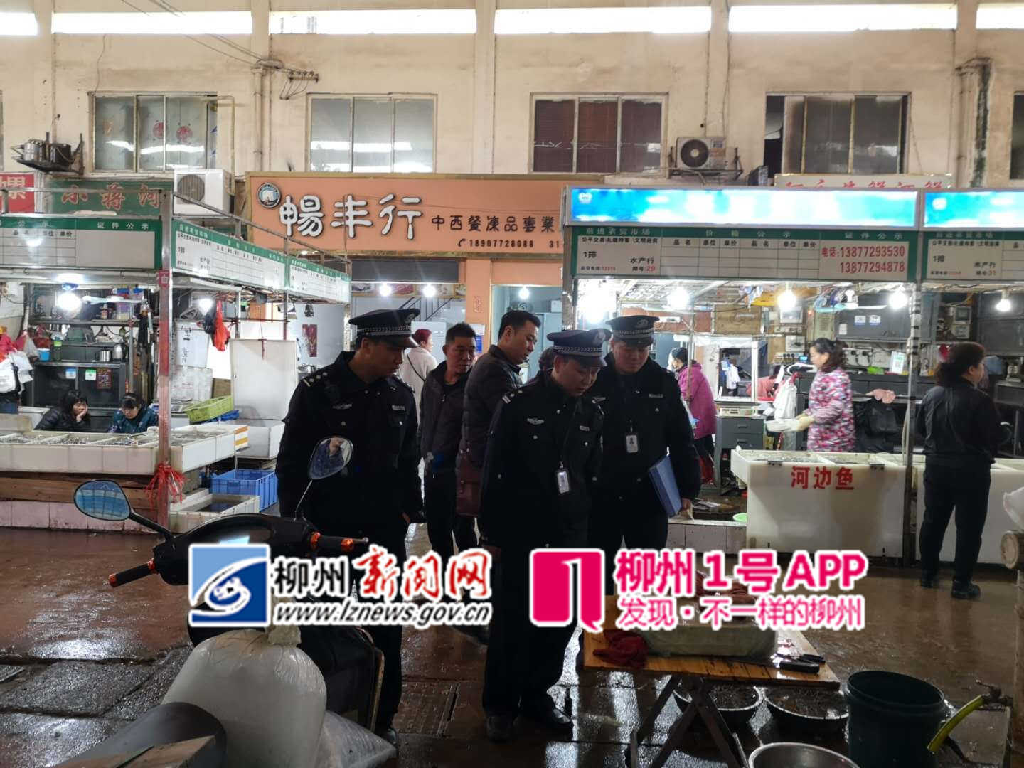 保护濒危物种，维护生命共同体！柳州市“爱鸟周”宣传活动取得良好效果