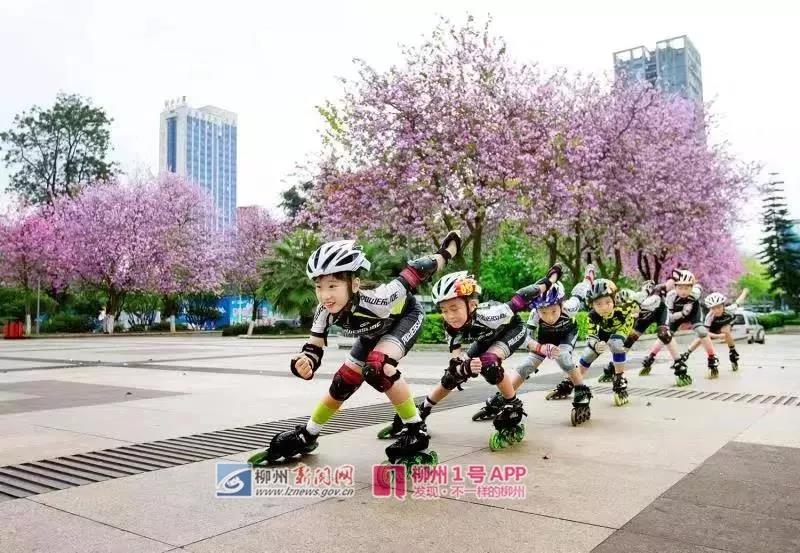 微信图片_20190402161208.jpg 微信图片_20190402161208.jpg