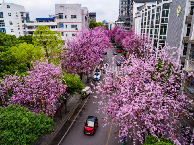 微信截图_20190402194711.png 微信截图_20190402194711.png