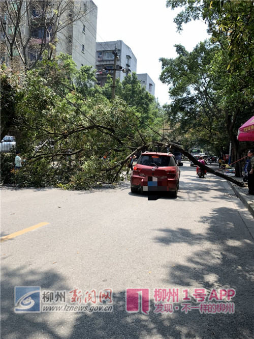 微信图片_20190405130010_副本.jpg 微信图片_20190405130010_副本.jpg