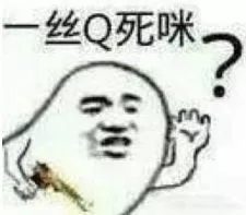 333.webp.jpg
