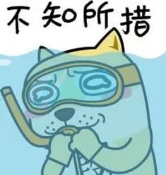 444.webp.jpg