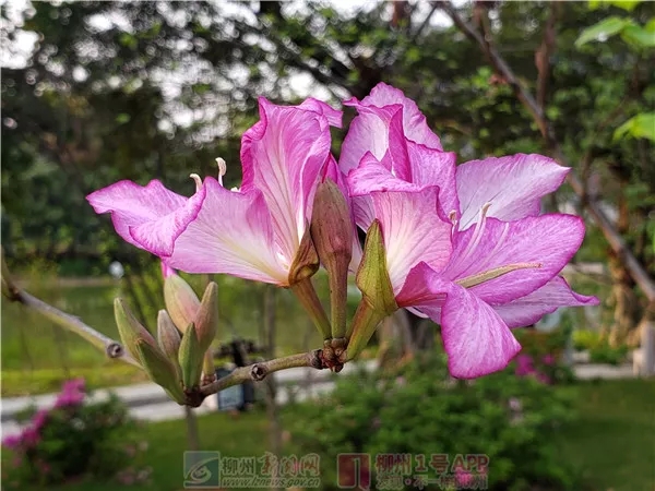 640.webp (12).jpg