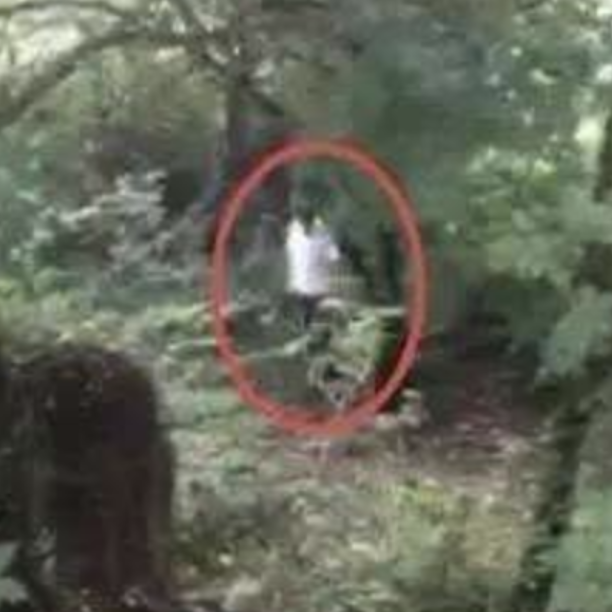 男子与妻子闹矛盾，竟想在龙潭公园自杀，身边还有一把刀和一个空瓶