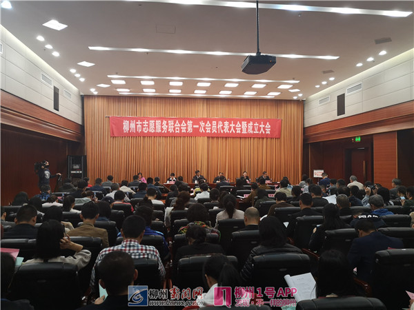 我市成立志愿服务联合会，今年将重点抓好这五件事！