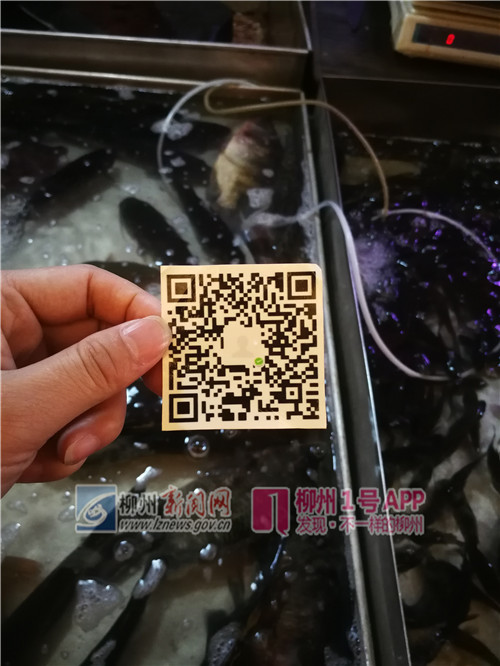 WechatIMG3629_副本1.jpg WechatIMG3629_副本1.jpg