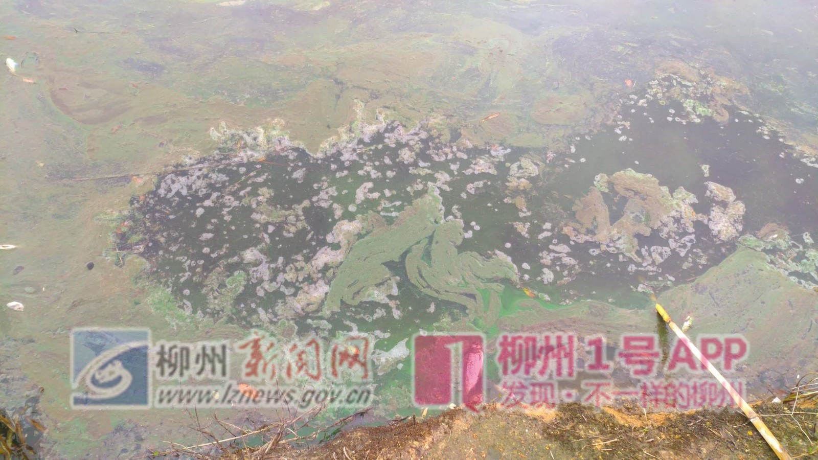 11_副本.jpg 11_副本.jpg