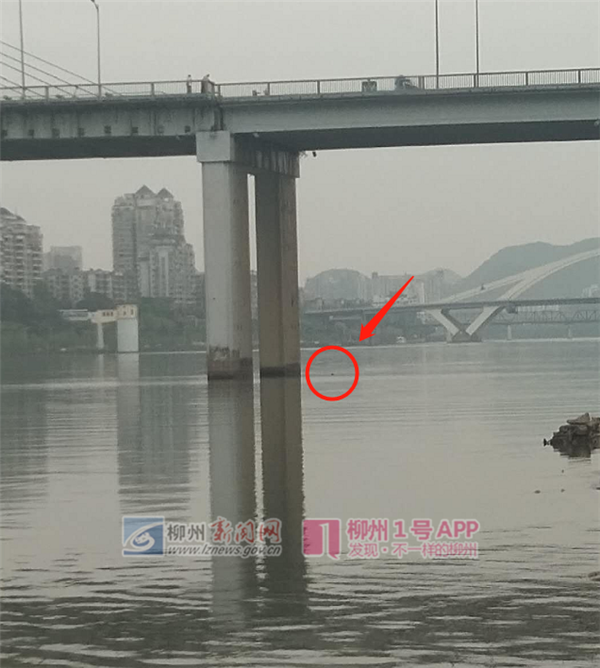 微信截图_20190412193010.png 微信截图_20190412193010.png