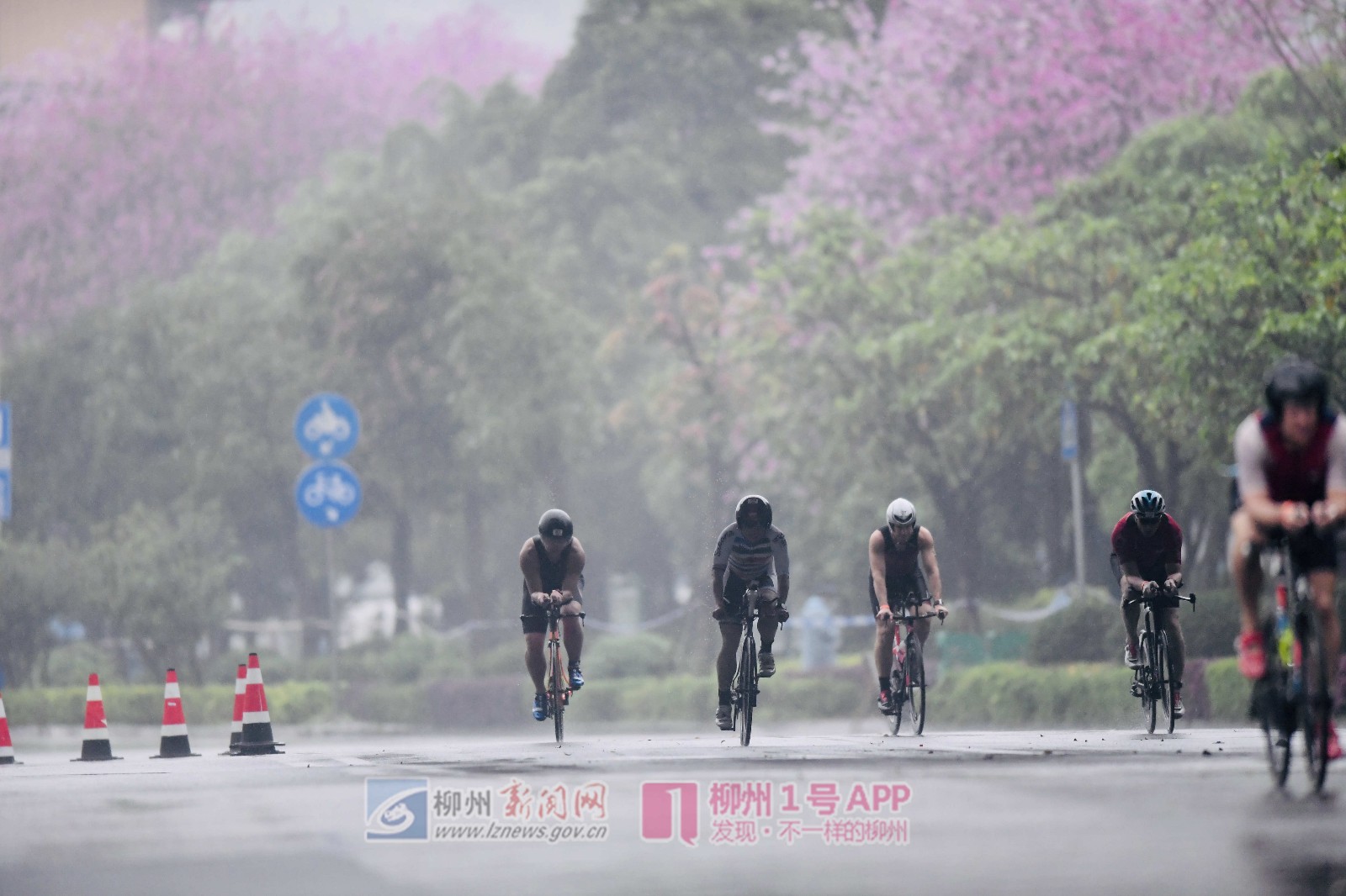 微信图片_20190414091223.jpg 微信图片_20190414091223.jpg
