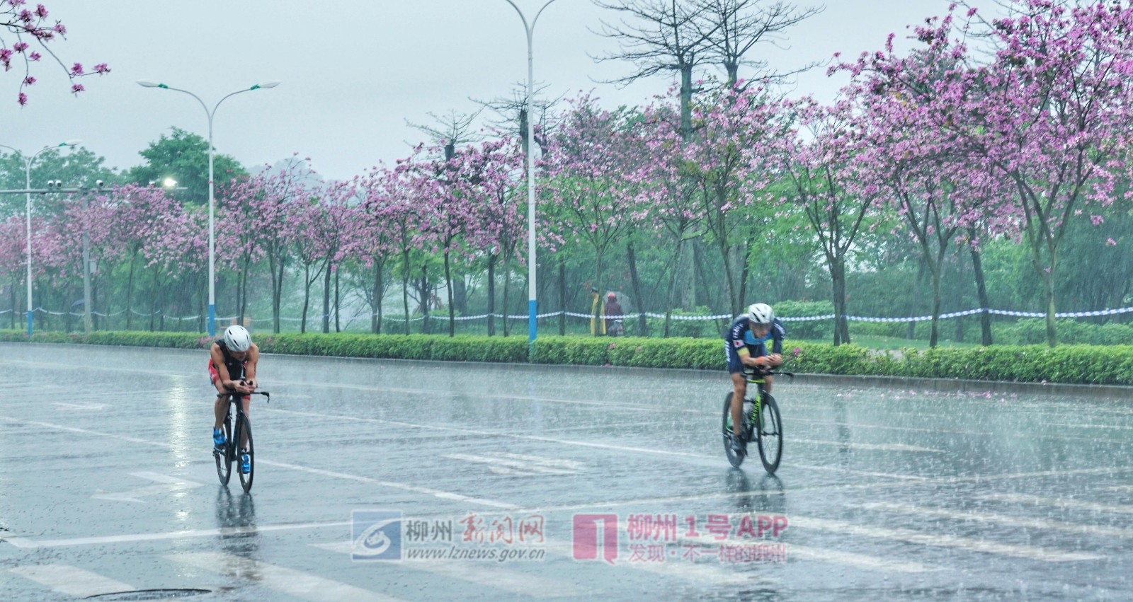微信图片_20190414092759.jpg 微信图片_20190414092759.jpg