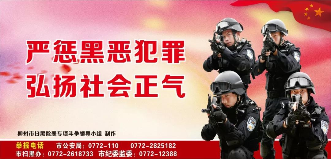 每日一学|扫黑除恶这些知识点get起来