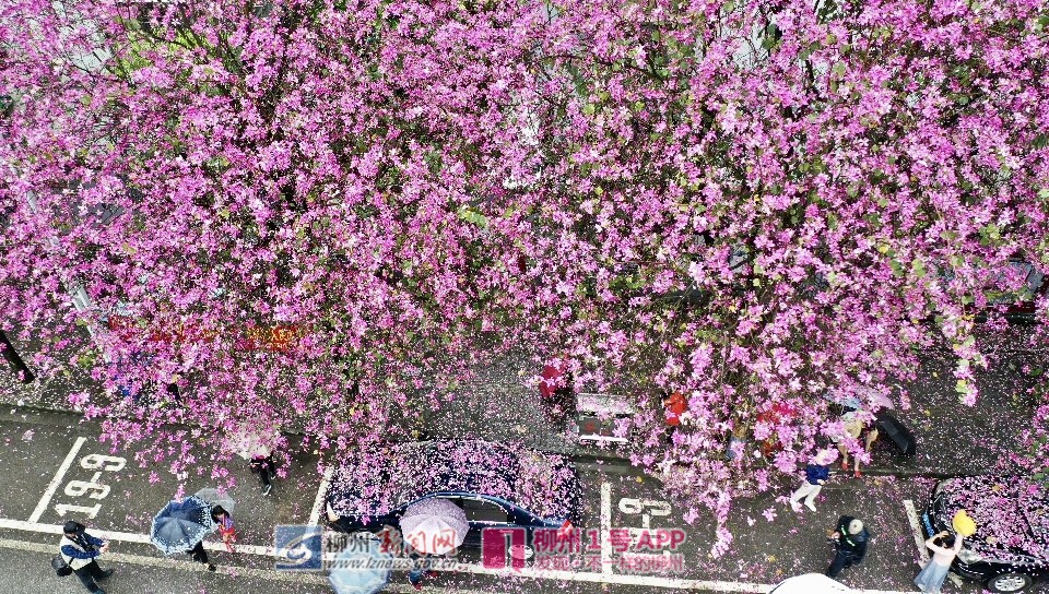 黎寒池 水南路2.jpg