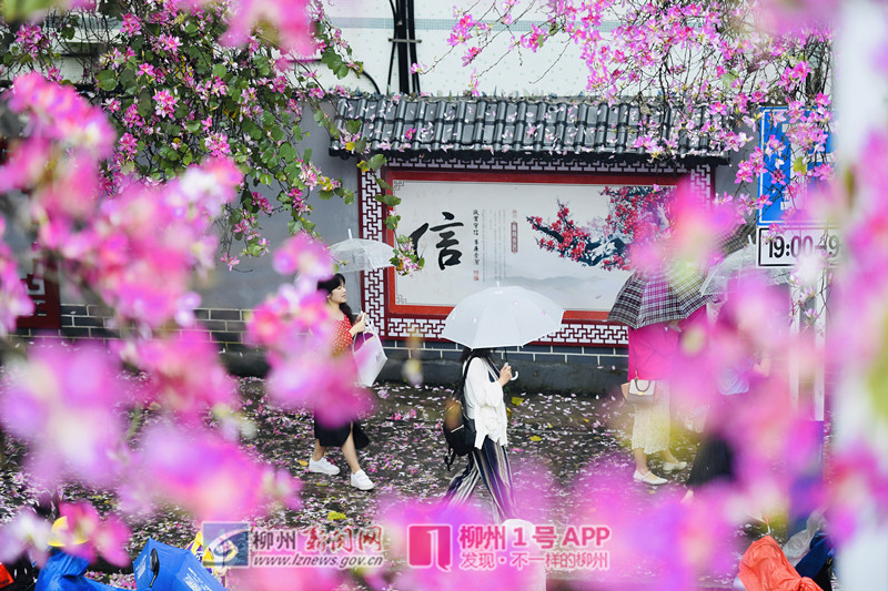 水南路5.jpg 水南路5.jpg