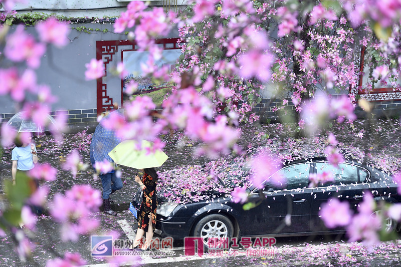 水南路3.jpg 水南路3.jpg
