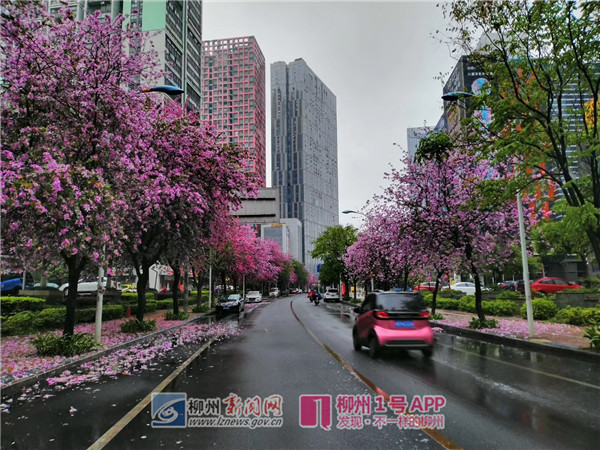 瑞安路1.jpg 瑞安路1.jpg