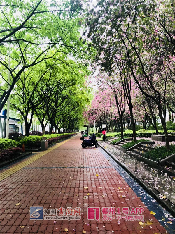 文昌路西1.jpg
