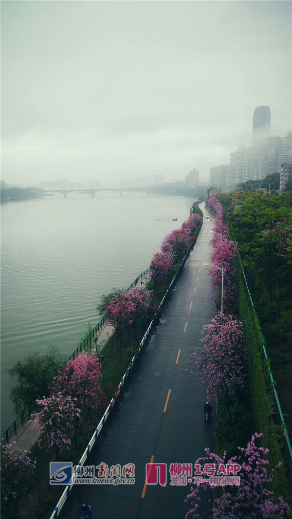 白沙大桥附近.jpg 白沙大桥附近.jpg