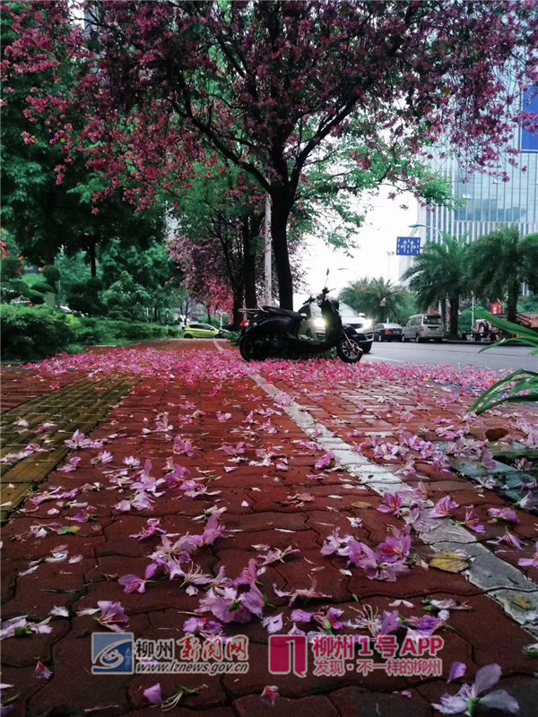 选.jpg 选.jpg
