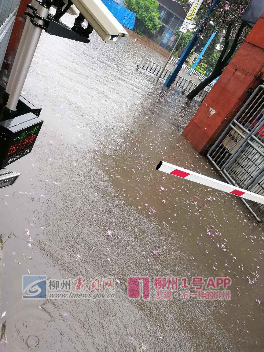 微信图片_20190415102815.jpg