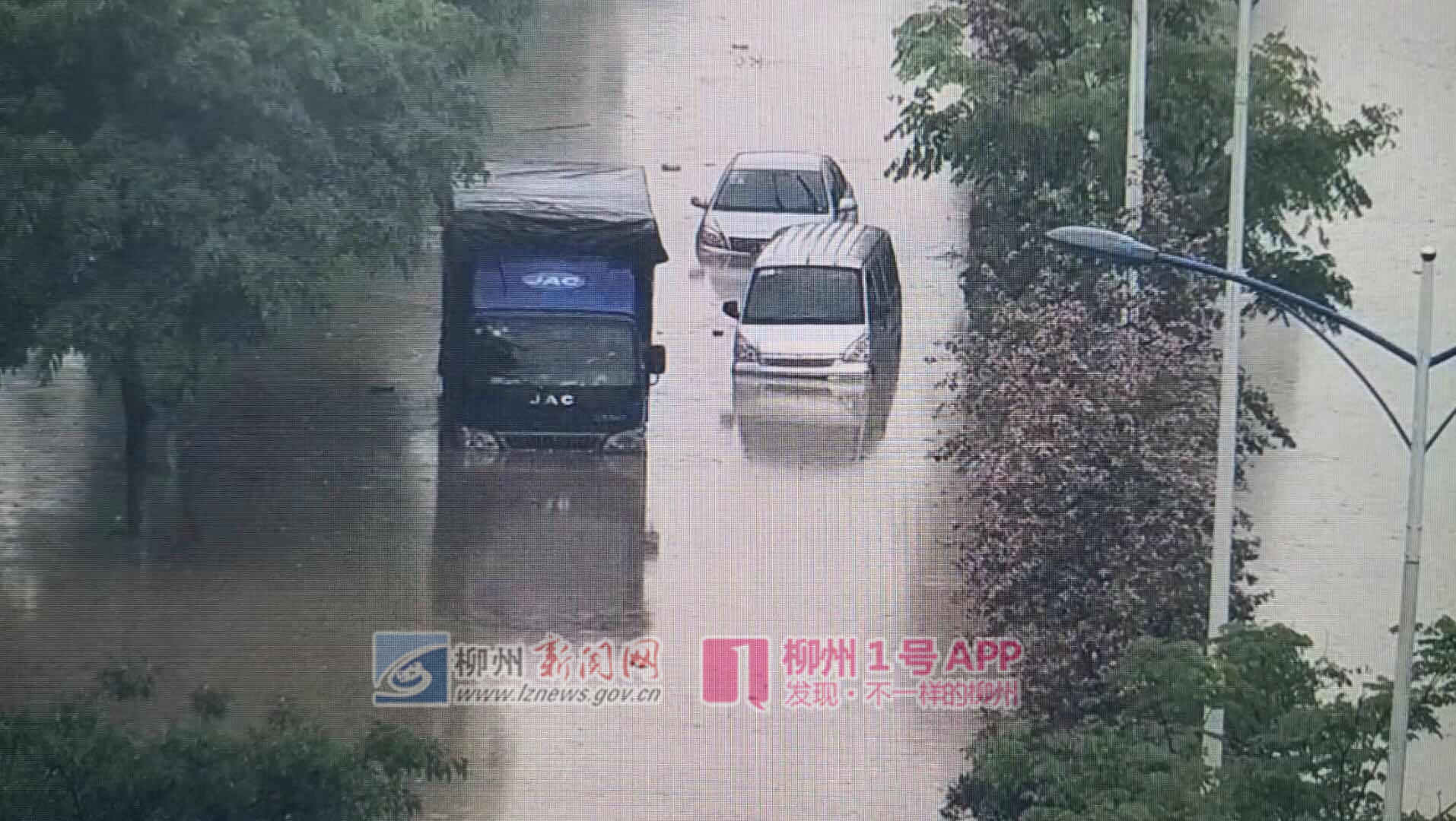 瑞龙 (1).jpg
