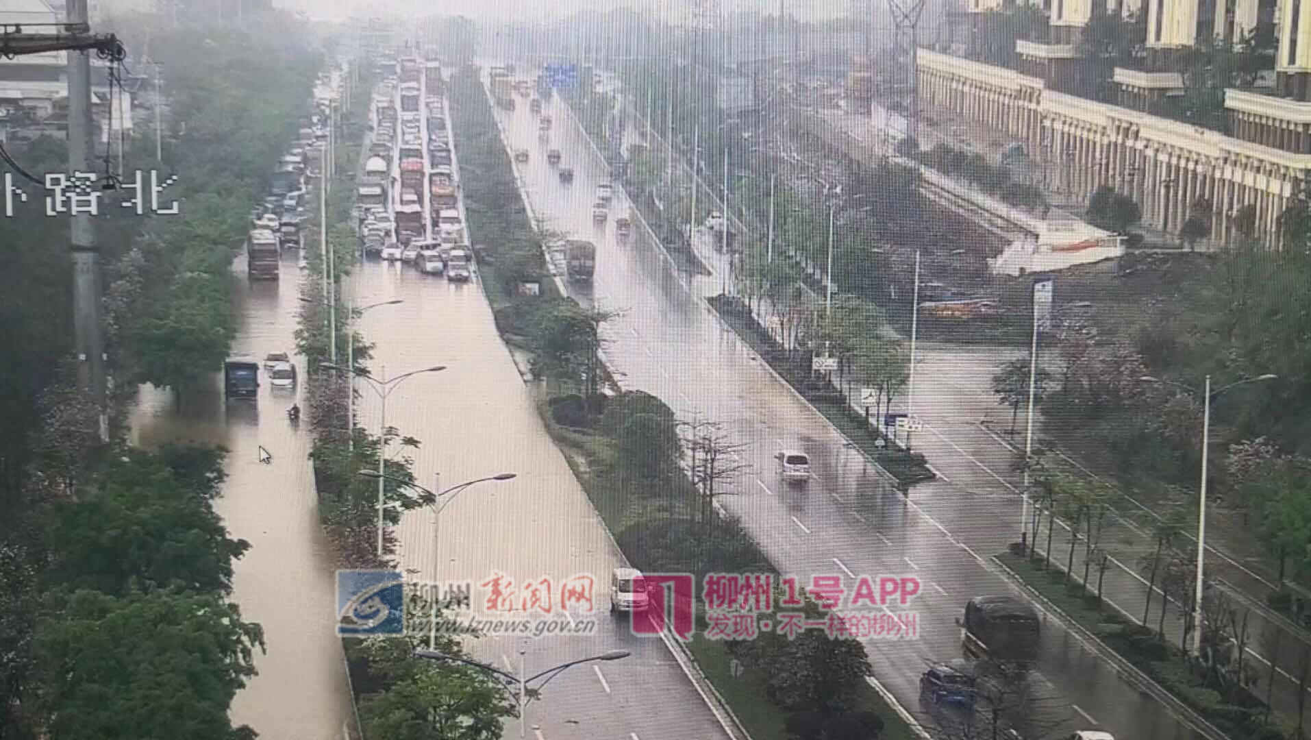 瑞龙 (3).jpg